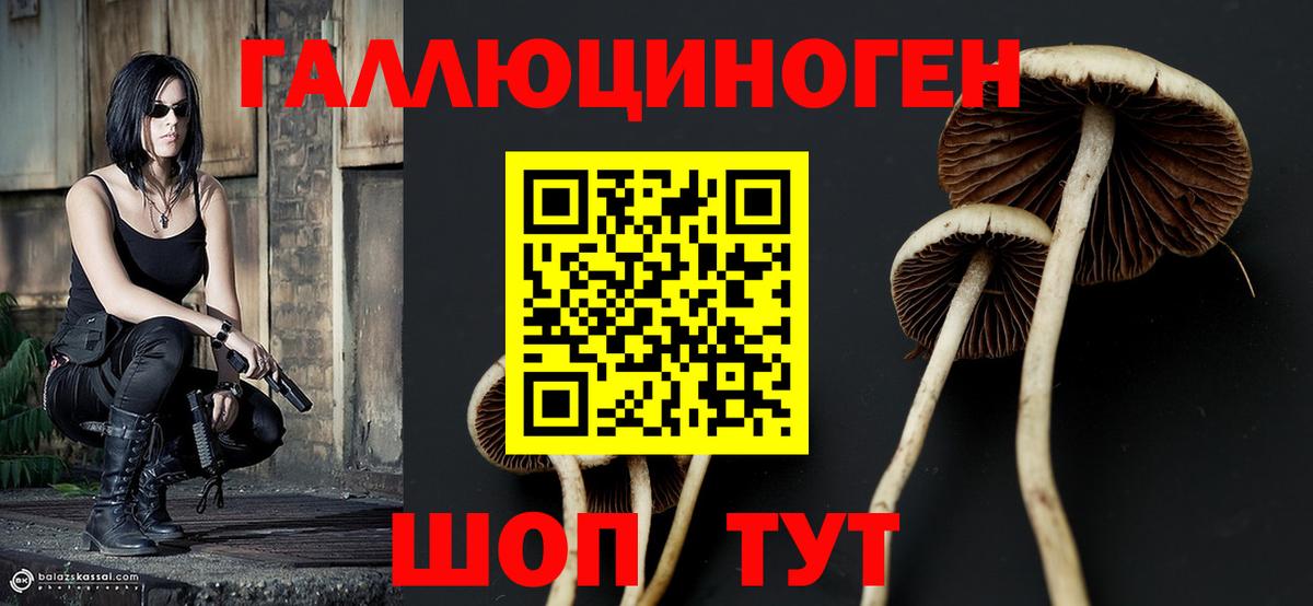 Галлюциногенные грибы Psilocybe  Псилоцибиновые грибы Psilocybine cubensis  Вход с VPN  Нягань 